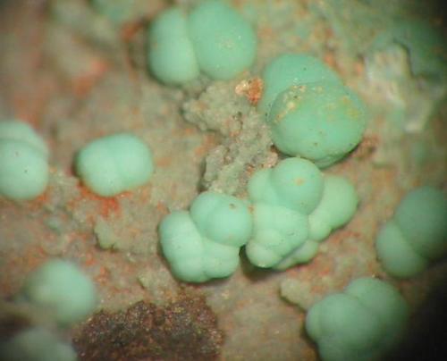 Pale green nodules of chrysocolla on calcite from Helgoland, Schleswig-Holstein. Picture width: 6 mm. (Author: Andreas Gerstenberg)
