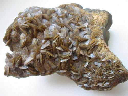 Siderite crystals are often found in siderite geodes in claypits. The - in my opinion - best examples were found in the claypit of Farmsen near Hildesheim, Lower Saxony. The pic shows a 9 cm wide sample with golden brown crystals. (Author: Andreas Gerstenberg)
