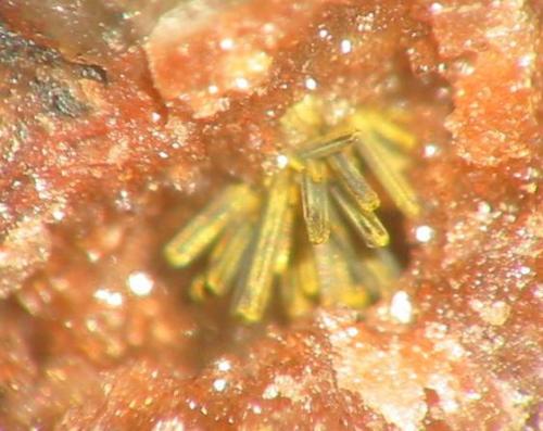Dark red ianthinite crystals, alterating to yellow schoepite as a 3 mm aggregate on quartz from the Krunkelbach Uranium prospect, Menzenschwand, Black Forest. (Author: Andreas Gerstenberg)