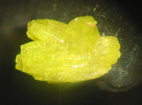 Pyromorphite crystal (2 mm) with a very intensive, "glowing" color. From the Giesenbach mine, Lahr, Black Forest. (Author: Andreas Gerstenberg)