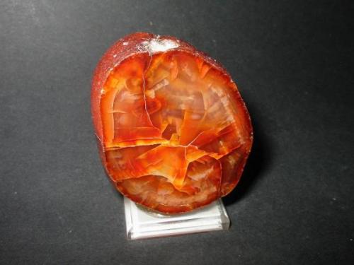 Excellent Carneole with "craquelee"-structure and a fine fire-red color. Polished section, 6 cm in height from Grünewald, Niederlausitz, Brandenburg. (Author: Andreas Gerstenberg)