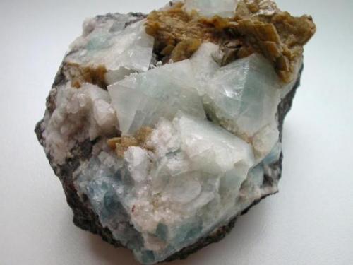 A nice galena from Neudorf/Harz is hard to get, though. Nevertheless I´d say that getting a good fluorite from there is even harder. I bought this specimen with the declaration "Schönbrunn, Voigtland". But in fact it is an old classic from Neudorf with typical siderite and quartz crystals on the pale blue cubes as well as some sphalerite and galena in the shist matrix. Former collection of Bergdirector Geipel/Eisleben, dating from 1921 (without label, unfortunately). The cubes measure up to 2,5 cm. (Author: Andreas Gerstenberg)