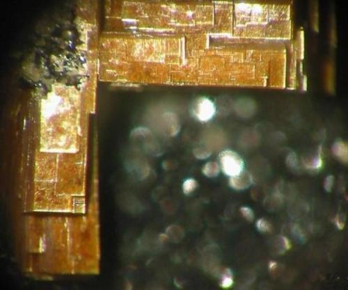 Type locality: 5 mm arseno-uranospathite on blackish quartz from the Krunkelbach Uranium prospect, Menzenschwand, Black Forest. (Author: Andreas Gerstenberg)