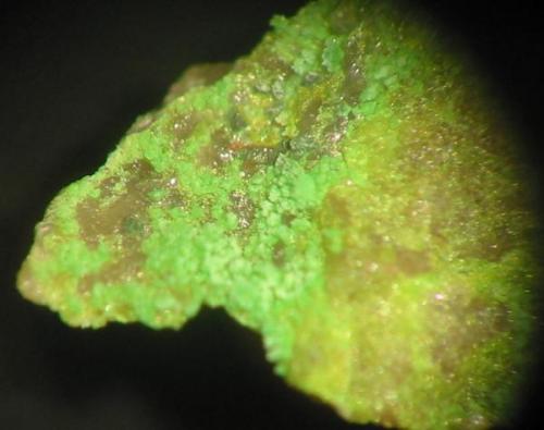 Green johannite from the 240 m level, Pöhla, Erzgebirge, Saxony. Picture width 3 mm. (Author: Andreas Gerstenberg)