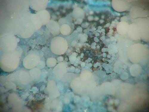 Pale blue dypingite balls from the Gottesbelohnung smelter, Hettstedt, Saxony-Anhalt. Picture width 4 mm. (Author: Andreas Gerstenberg)