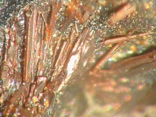 Red brown beusite crystals from the Genna zinc smelter, Lethmate, Sauerland, Westphalia. Picture width 4 mm. (Author: Andreas Gerstenberg)