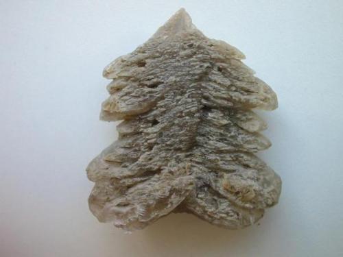 A christmas tree of gypsum - found at the Hammerthal (southern) claypit, Bad Freienwalde, Brandenburg. 6,5 cm high tree. (Author: Andreas Gerstenberg)