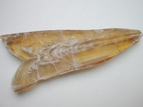 Gypsum as a characteristic "Montmartre" twin from the Alter Stolberg quarry, Stempeda, Harz. About 10 cm in length. (Author: Andreas Gerstenberg)