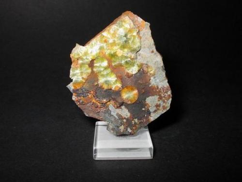 A classic locality for wavellite is the Wachtelberg quarry, Langenstriegis, Freiberg district, Erzgebirge, Saxony. 5 cm high specimen. In this quarry grey, yellow, green and blue wavellites occured. A nearly black variety was named "Striegisan". (Author: Andreas Gerstenberg)