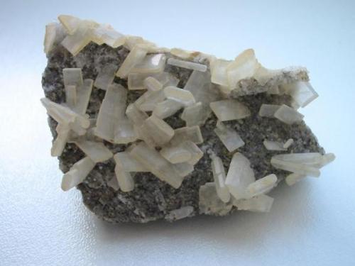 A hardly unknown locality for barytes is the Piesberg sandstone quarry, Osnabrück, Lower Saxony. The picture shows white plates up to 1 cm on quartz layer in sandstone (a 2001 find). Even pale blue crystals have been found. However, the quarry is far more reputated among fossil collectors. (Author: Andreas Gerstenberg)