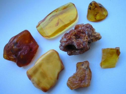 Berlin amber. The upper three from the left to the right: reddish brown sample from Postfenn gravel pit in Grunewald forest - very clear one (5,5 cm) from the tower block construction at Thorwaldsen street/Steglitz in the 1970s - small tumbler, having been found during the construction of the tube at Bayerischer Platz station/Schöneberg. The two in the middle: yellow opaque from Gatow (having been found during construction works at the army airport in 1985) - old find from Seddinberg gravel pit/Müggelheim. The two lower ones: small pebble from Parey gravel pit/Spandau - clear one from a building pit at the Wall street near Alexanderplatz. (Author: Andreas Gerstenberg)