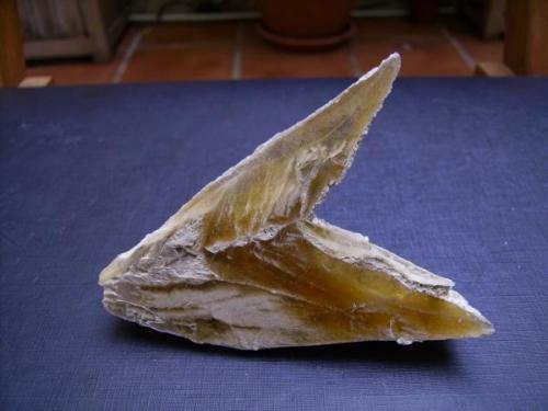 Gypsum (arrow-head twin). 7 x 5 cm. Galera, Granada, Spain (Author: Antonio Alcaide)