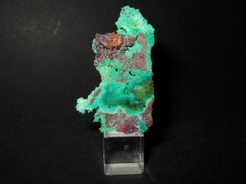 6,5 cm long copper sheet, almost entirely replaced by tiny cuprite octahedrons and malachite. From Mina mine, Niedermarsberg, Sauerland, Westphalia. (Author: Andreas Gerstenberg)