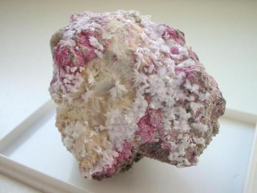 Picropharmacolithe needles with red erythrite, white guerinite crystals and some weilite (white crusts) from the Wechselshaft, Richelsdorf, Hesse. The sample measures about 7 cm in width. (Author: Andreas Gerstenberg)