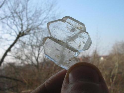 Faden quartz is very rare in Germany. This one comes from the Gehn quarry, Ueffeln near Osnabrück, Lower Saxony. The crystal group is just 3 mm thick! (Author: Andreas Gerstenberg)