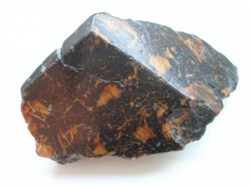 Dark amber from the Lichtenberg open pit, Ronneburg uranium district, Thuringia (very rare!). 8 cm polished sample from a 1959 find. (Author: Andreas Gerstenberg)