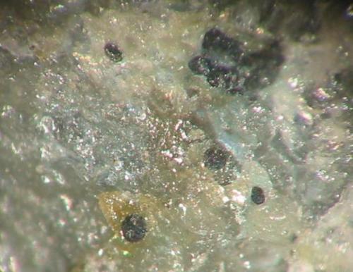 Native lead as flat balls with minor blue caledonite in quartz from Churfürst Ernst mine, Bönkhausen, Sauerland, Westphalia. Picture width 5 mm. (Author: Andreas Gerstenberg)