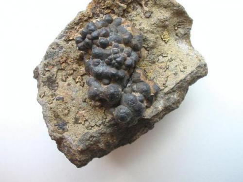 Black siderite in the variety sphaerosiderite on basalt rock from the Steinheim quarry, Hanau, Hesse. 5,5 cm in width. (Author: Andreas Gerstenberg)