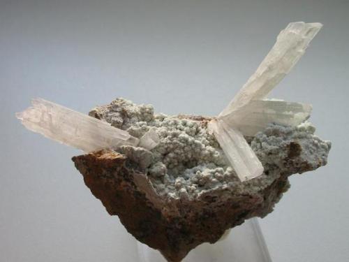 Elongated gypsum crystals on bluish grey rostite from the Schiefermühle quarry, Rammelsberg deposit, Goslar, Harz. The crystals measure about 3 cm. (Author: Andreas Gerstenberg)