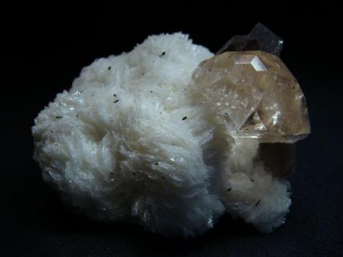 This specimen consists of a matrix of snowy white cleavelandite hosting several smoky quartz crystals (to 21mm) and a single, perfectly formed peach topaz. This prismatic topaz, with its complex pyramidal termination, measures 28mm across by 23mm tall.

Pakistan, Northern Areas, Skardu, Yunu, Shigar Valley

Size 70 x 63 x 37 mm (Author: olelukoe)