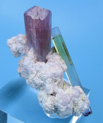 Elbaite
Paprok, Nuristan Province, Afghanistan
57 x 28 mm² (Author: Carles Millan)