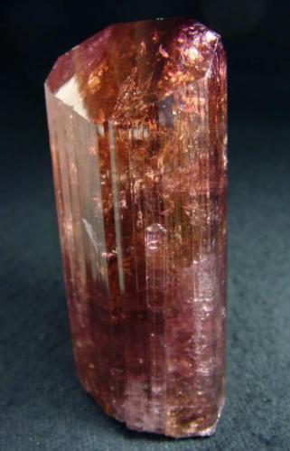 Tourmaline-rubellite crystal, Russia, Chitinskaya oblast., Malkhan

Size 67 x 28 x 26 mm (Author: olelukoe)
