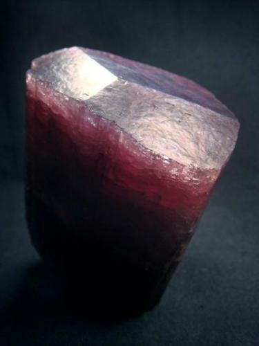 Polychromic XL tourmaline crystal with perfect termination and blue coloure cap from Malkhan Pegmatite field, Mokhovaya vien.

Size  93 x 64 x 61 mm (Author: olelukoe)