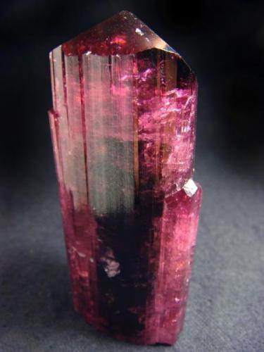 Tourmaline Rubellite, Russia, Chitinskaya oblast., Malkhan pegmatite field, Sosedka vien.

Size 74 x 30 x 28 mm (Author: olelukoe)