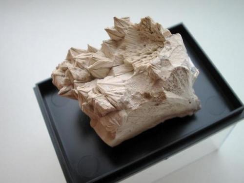 5 cm pectolite sample from the Kreimbach quarry, Niedernkirchen, Rhineland-Palatinate. (Author: Andreas Gerstenberg)