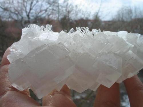 Clear syngenite crystals on white halite cubes from Sigmundshall potash mine, Bokeloh near Hannover, Lower Saxony. (Author: Andreas Gerstenberg)