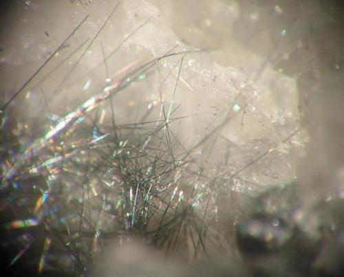 Heteromorphite needles in quartz vug from Himmelfahrt mine, Freiberg, Erzgebirge, Saxony. With Wilhelm Koch label (about 1870). Maybe jamesonite, very rare sample though. (Author: Andreas Gerstenberg)