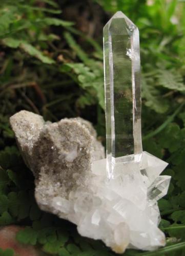 Quartz. 6x1x0,9 cm (Author: José Miguel)