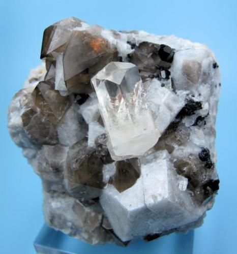 Phenakite, quartz, microcline, schorl
Paleini Mine, Khetchel village, Molo quarter, Momeik township, Mogok area, Mandalay division, Burma (Myanmar) (Author: Carles Millan)