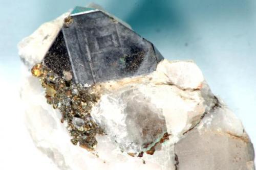 Carrolite: Democratic republic of congo Size: 37 by 20 by 23mm Crystal measures 14mm across (Author: Henk Viljoen)