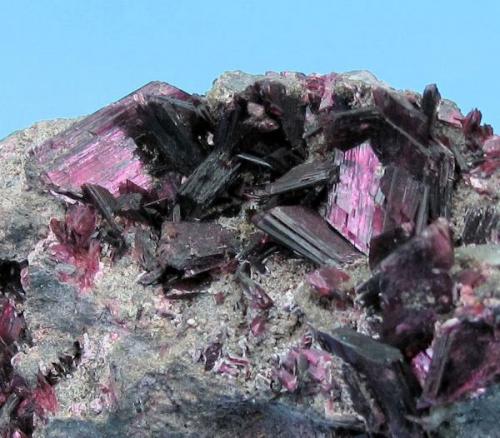 Erythrite, skutterudite, pharmacolite
Bou Azzer District, Tazenakht, Ouarzazate Province, Souss-Massa-Draâ Region, Morocco
56 mm x 40 mm. Main erythrite crystal size: 13 mm (Author: Carles Millan)
