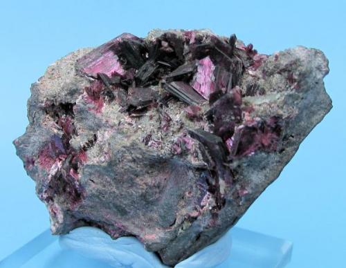 Erythrite, skutterudite, pharmacolite
Bou Azzer District, Tazenakht, Ouarzazate Province, Souss-Massa-Draâ Region, Morocco
56 mm x 40 mm. Main erythrite crystal size: 13 mm (Author: Carles Millan)