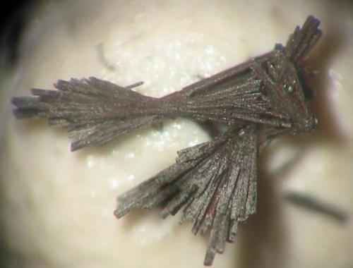 Synthetic cetineite crystals (3 mm aggregate), grown at Essen University, Westphalia. (Author: Andreas Gerstenberg)