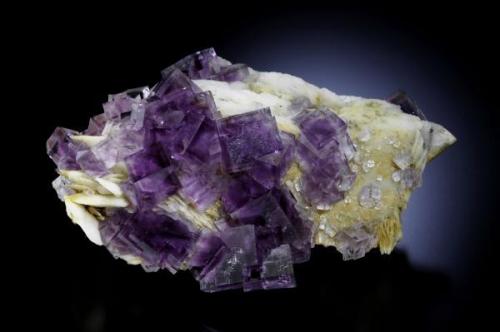 The specimen is a nice series of cubes of 1,5 cm edge on a baryte crystal layer. These associations are characteristic  of the famous place of "La Cabaña" in Berbes village, Ribadesella.
Jeff Scovil Photo (Author: jrg)