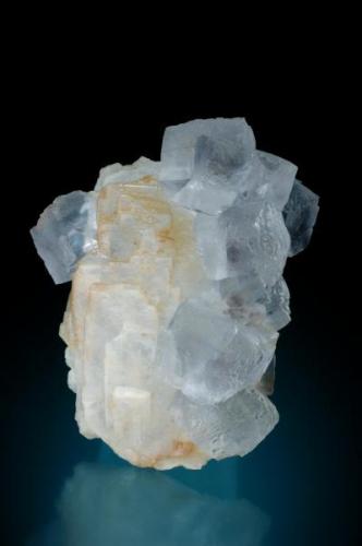 The specimen come from the "San Lino" open pit in Caravia Alta, and shows a  group of cubic crystals of fluorite about 1,5 cm edge upper a baryte crystal of 8 cm higth.
Jeff Scovil Photo (Author: jrg)