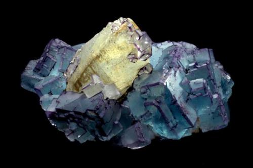 This is another specimen of  La Collada area, come from the "Josefa-Veneros" mine. It was found in 1970. Longuer 17 cm.
Jeff Scovil Photo. (Author: jrg)
