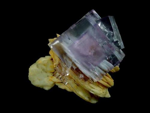 Beautiful fluorite cubes with 5 cm of edge in a baryte crystal layer. It was mined in a little pocket in the zone of "La Cabaña" in 1987.
J.R. García  photo. (Author: jrg)
