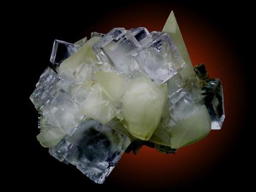 A group of crystals of cubic fluorite with 2 cm of edge on escalenohedral crystals of calcite, also from the Emilio mine 
J.R. García photo (Author: jrg)