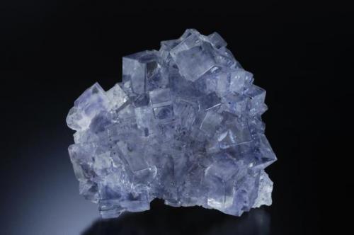 Another specimen of the Emilio mine with a delicate bluish colour have also small crystals of chalcopiryte on some faces of the cubes. Average edge of the cubes 2 cm
Jeff Scovil photo. (Author: jrg)