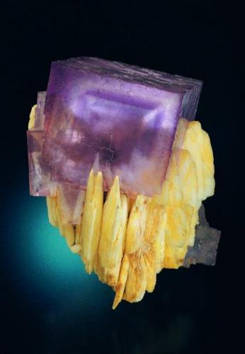 Always of "La Cabaña", this sample has a zoned cube of 6 cm of edge perched in baryte crystals
Jeff Scovil photo. (Author: jrg)