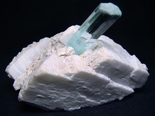 Fine, gem quality aquamarine crystal on albite, from Shengus (Shingus), Haramosh Mts., Skardu District, Baltistan, Northern Areas, Pakistan

Size 95 x 70 x 60 mm (Author: olelukoe)