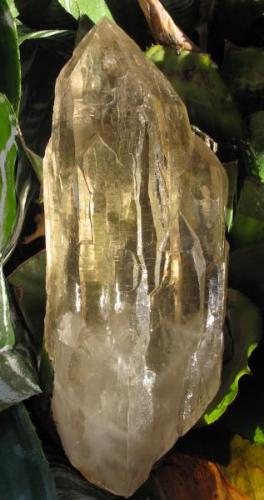 The same citrine Quartz in a garden. (Author: José Miguel)