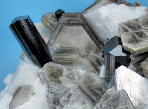 Schorl, muscovite, feldspar
Dassu Valley, Shigar Valley, Skardu, Gilgit-Baltistan, Pakistan
116 mm x 83 mm. Both schorl major crystals: 13 mm wide

Close-up (Author: Carles Millan)