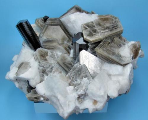 Schorl, muscovite, feldspar
Dassu Valley, Shigar Valley, Skardu, Gilgit-Baltistan, Pakistan
116 mm x 83 mm. Both schorl major crystals: 13 mm wide (Author: Carles Millan)