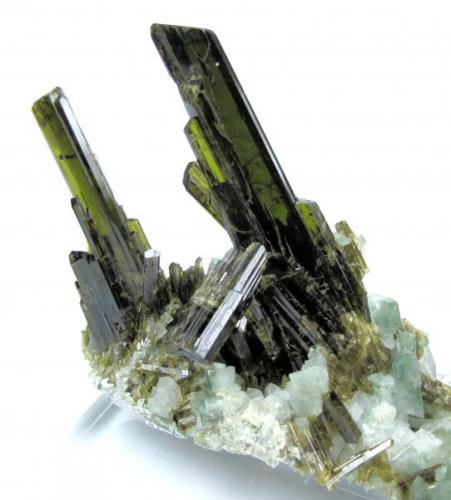 Epidote, adularia, actinolite
Alchuri, Shigar Valley, Skardu District, Gilgit-Baltistan, Pakistan
90 mm x 77 mm

Back view (Author: Carles Millan)