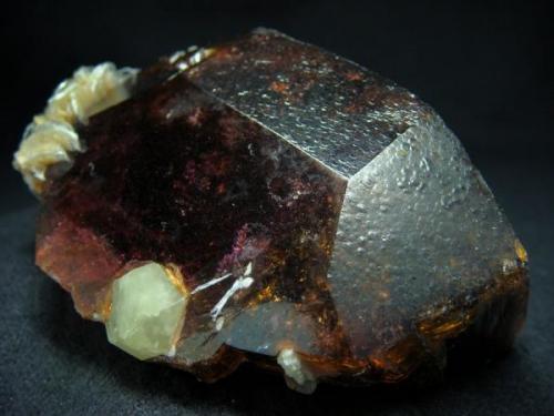 Big deep red Liddicoatite tourmaline head with Londonite xl in association, from Camp Robin area, Fianarantsoa Province, Madagascar

Size 80 x 65 x 35 mm (Author: olelukoe)